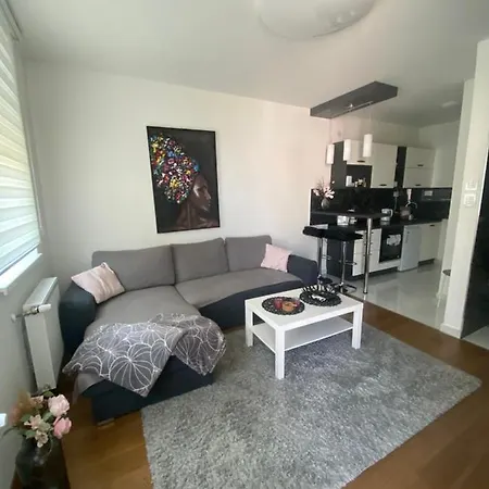 Apartment 212 Subotica